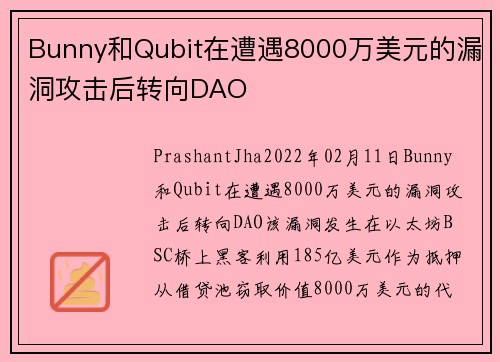 Bunny和Qubit在遭遇8000万美元的漏洞攻击后转向DAO 